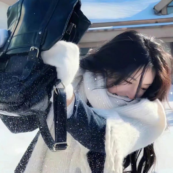 脱俗家庭海报