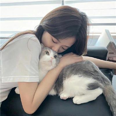 犬吠海报
