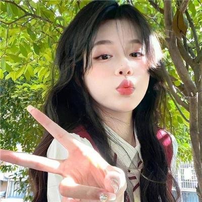 新忠烈图海报